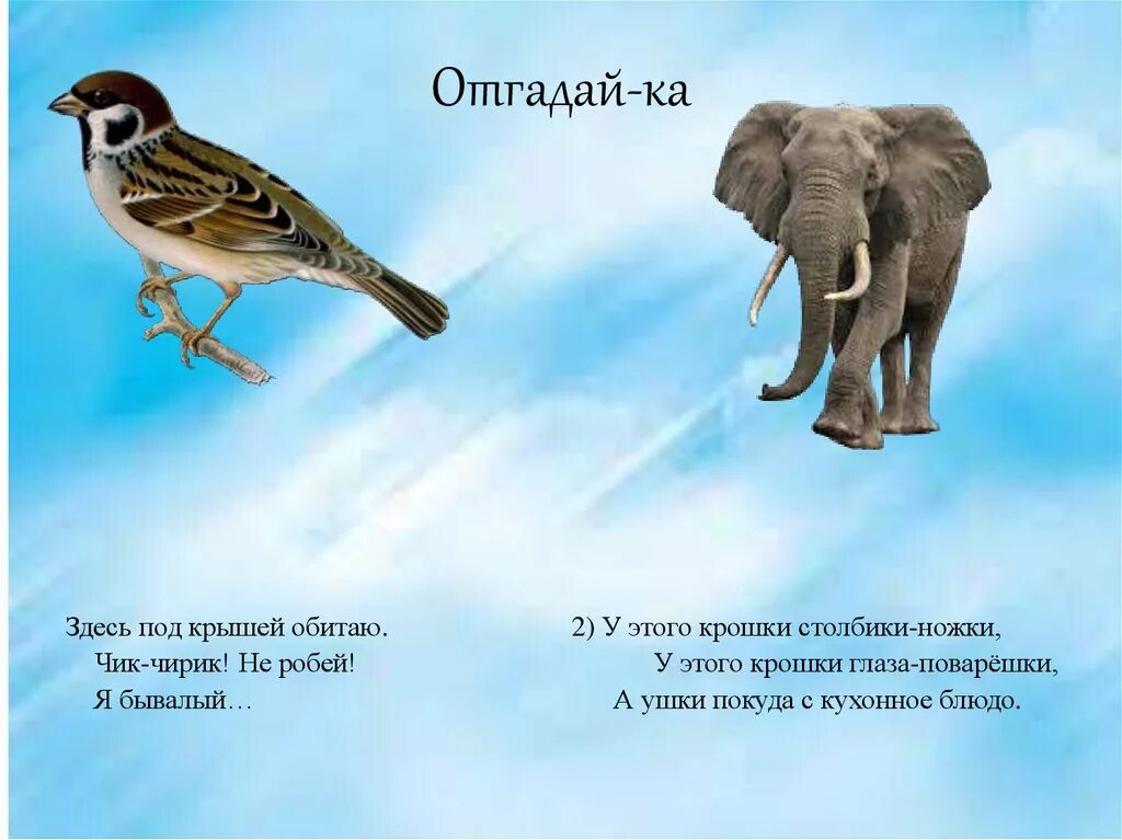 Черный воробей слон. Черный воробей слон. Черный воробей слон. Черный воробей слон. Черный слон стихотворение.