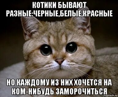 Девушки бывают разные черные текст