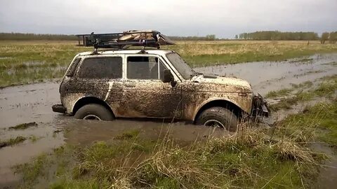 Нива стреляла