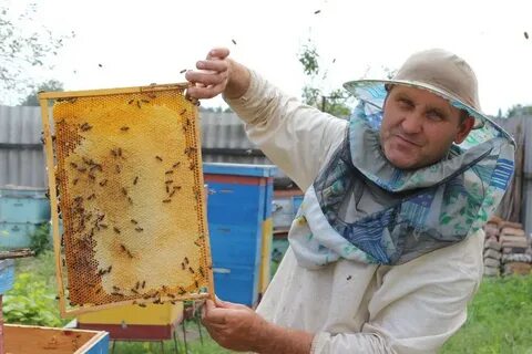 Пчеловод отзывы