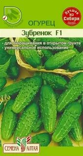 Огурцы семена алтая лучшие сорта