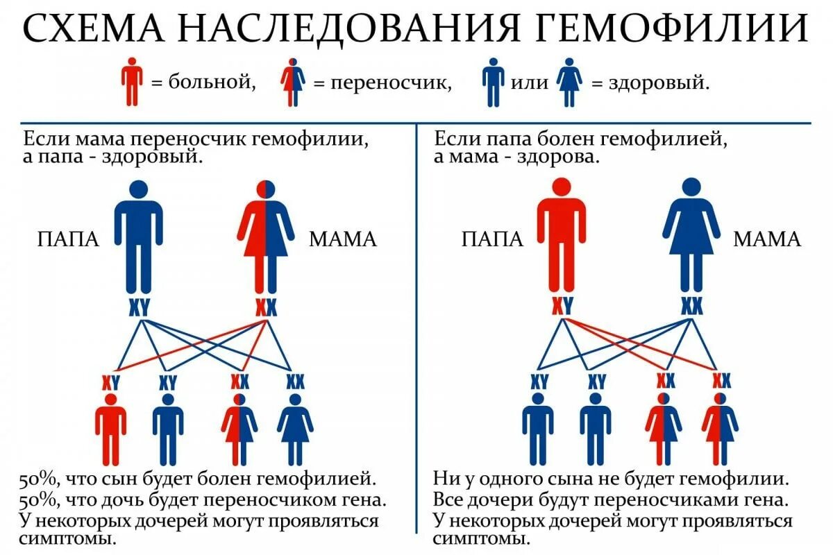 Наследственный форум. Схема наследования гемофилии. Гемофилия наследуется по типу. Гемофилия Тип наследования. Гемофилия генетика Тип наследования.