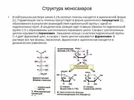 1 молекула глюкозы