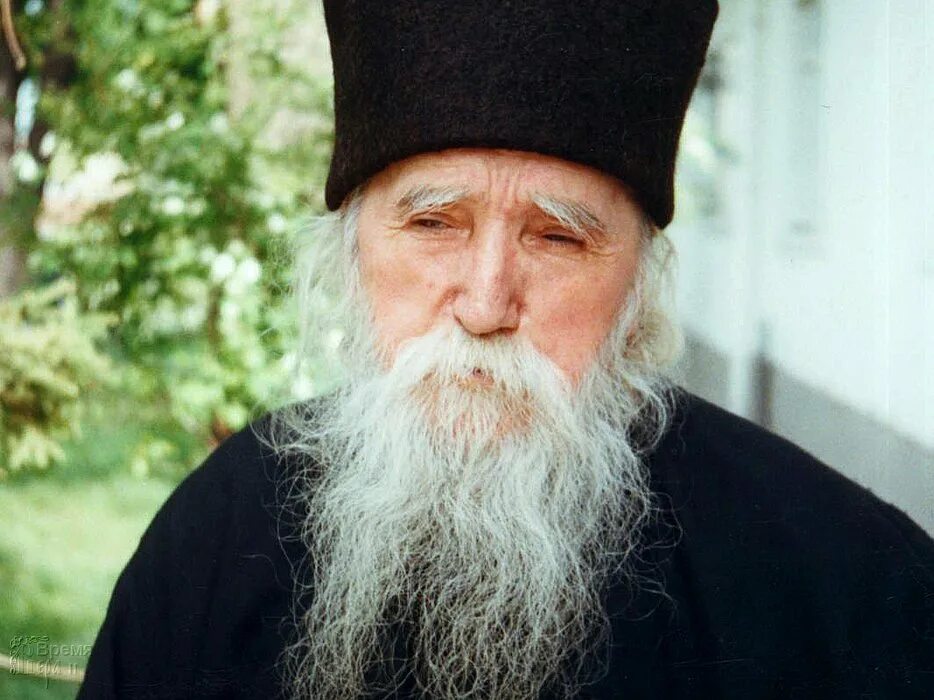 Ефрем катунакский. Святой ефрем катунакский. Как выглядит старцев. Отец павел груздев. Отец гавриил бунге.