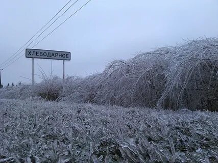 Погода в плодородном