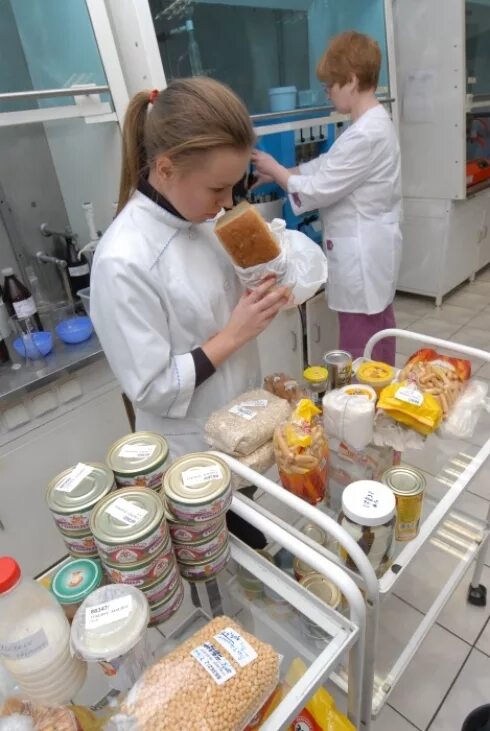 Муки ржаной гост показатели. Отбор проб хлебобулочных изделий. Лабораторные исследования хлеба. Схема отбора проб хлеба и хлебобулочных изделий для анализа. Отбор пробы хлеба по гост.