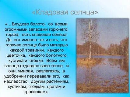 Почему пришвин назвал болото кладовой солнца