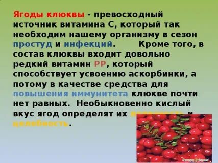 Клюква мочегонная ягода или нет