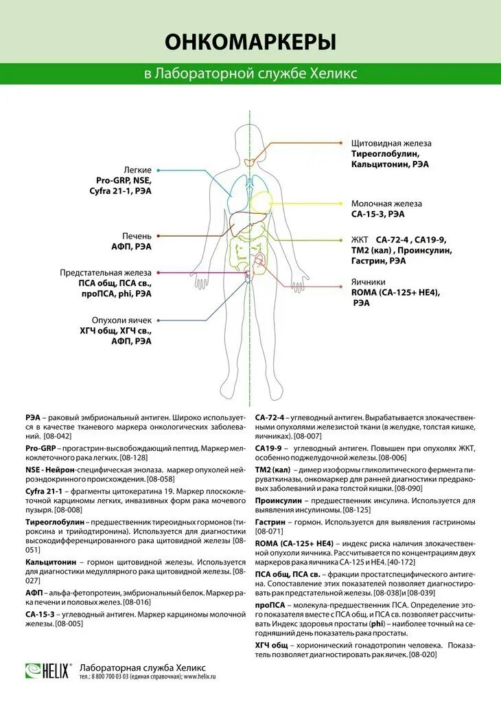 Онкомаркеры. Схема онкомаркеров. Кровь на онкомаркеры. Анализ крови на онкомаркеры. Цены онкомаркеры москве