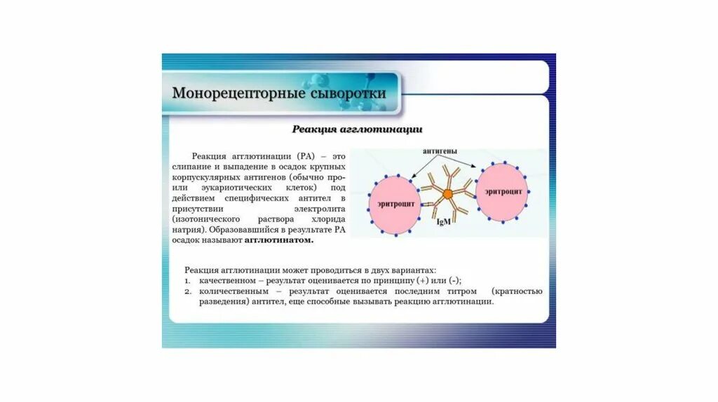 Сыворотка содержит готовые. Агглютинирующие диагностические сыворотки монорецепторные. Иммунные диагностические адсорбированные сыворотки содержат:. Агглютинирующие сыворотки комплексные и монорецепторные. Монорецепторные агглютинирующие сыворотки Диагностикумы.