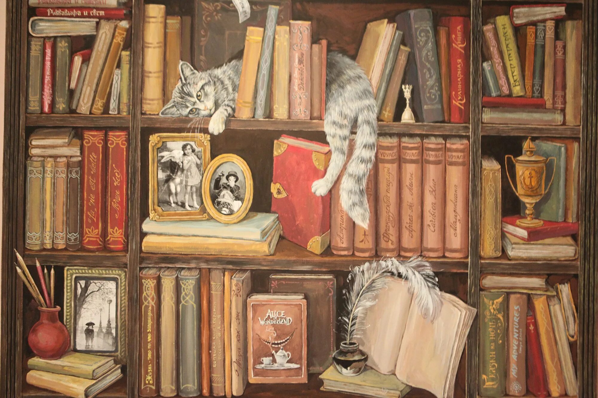Полка иллюстрация. Галина егоренкова иллюстрации книжный шкаф. полки для книг. обои книжные полки. полка с книжками.