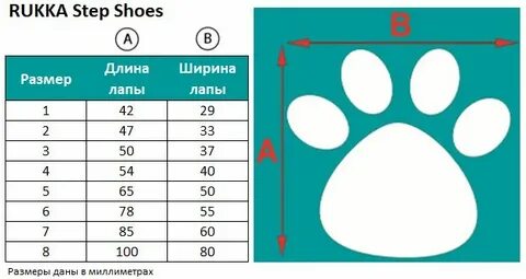 Ботинки для собак размеры