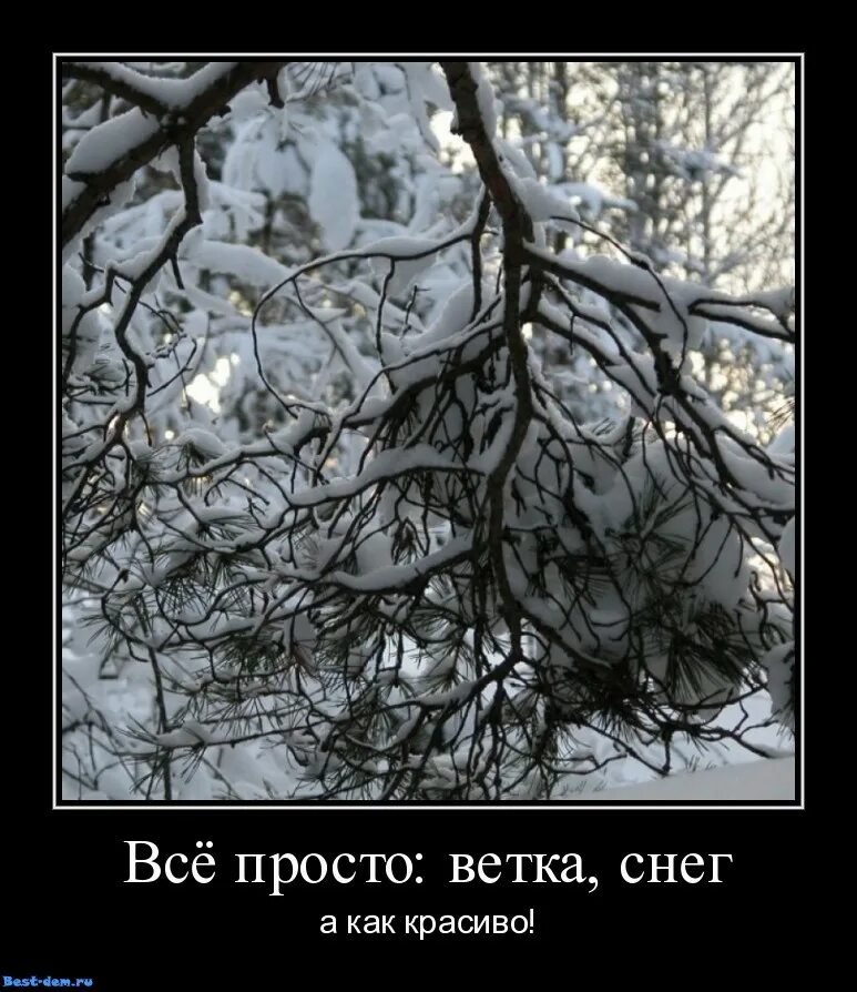 Статус про снег прикольные. Статус про снег прикольные. Статус про снег прикольные. Статусы про зиму. Анекдоты про зиму.