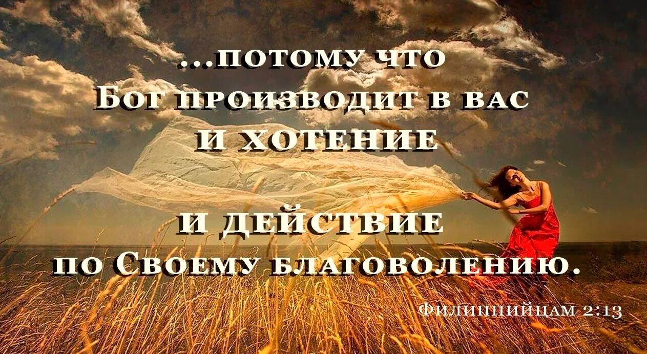 Воля отца небесного. Бог производит в вас и хотение и действие по своему благоволению. Ищут помощи у Бога. Господь производит в нас желания по своему. Найти притчи о Боге.