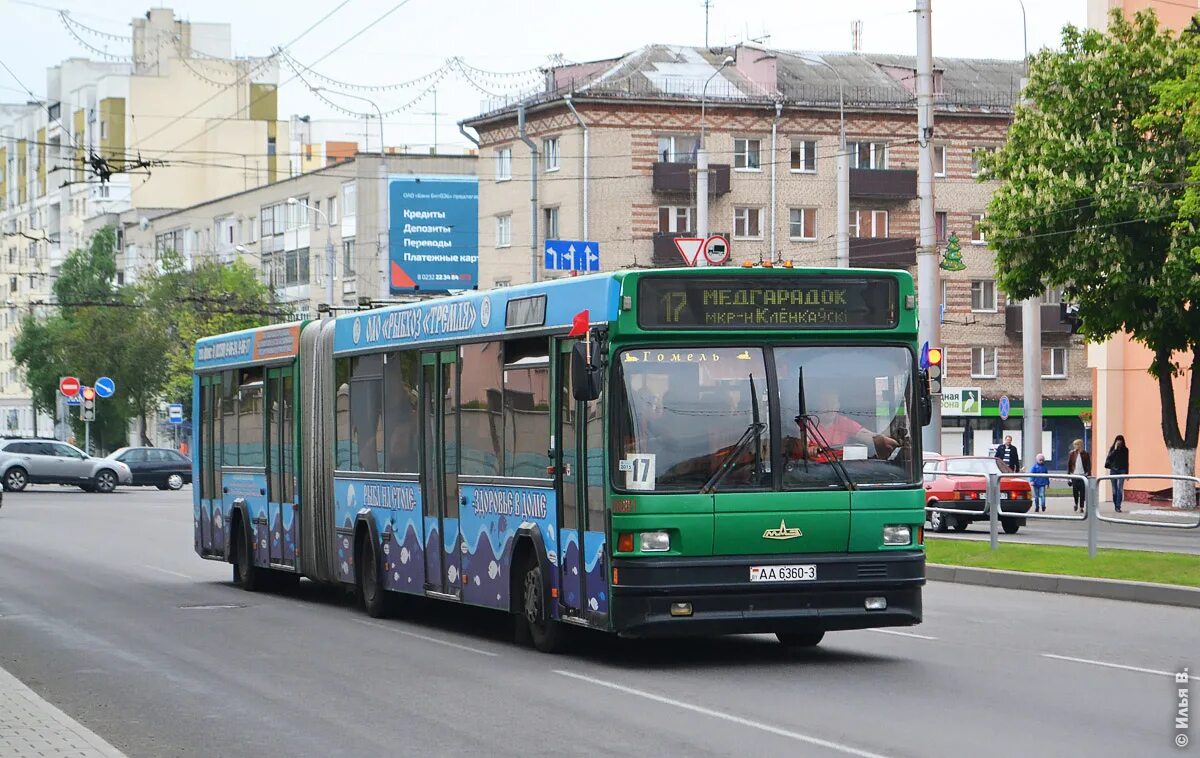 МАЗ 303. Автобус МАЗ 105. Гомель автобус. Автобус 17.