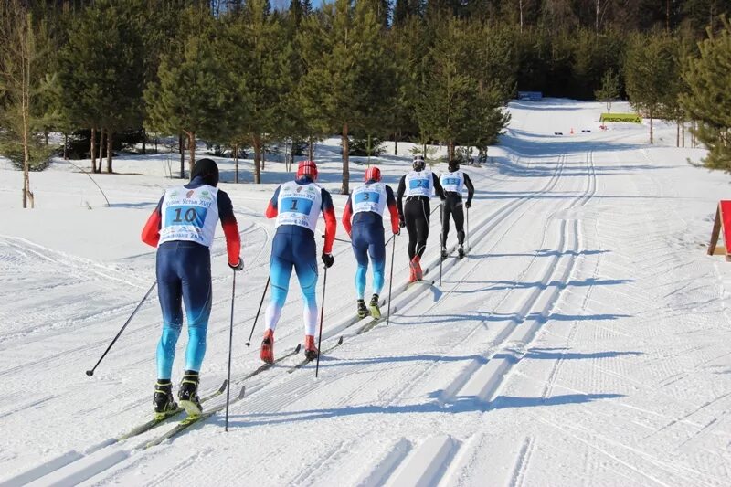 Трасса лыжных гонок состоит из 4 участков. Лыжная трасса. Лыжный спорт трассы. Лыжные гонки трасса. Трасса для лыжных гонок.