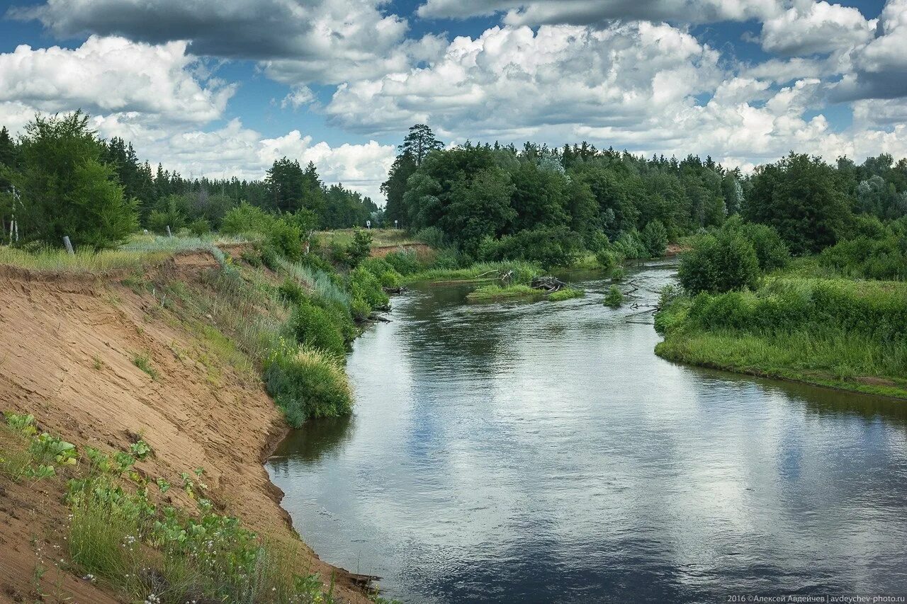 Бузулукский Бор национальный парк. Речка Боровка Бузулукский Бор. Река Боровка Бузулукский Бор. Бузулук Бузулукский Бор. Урал бузулук