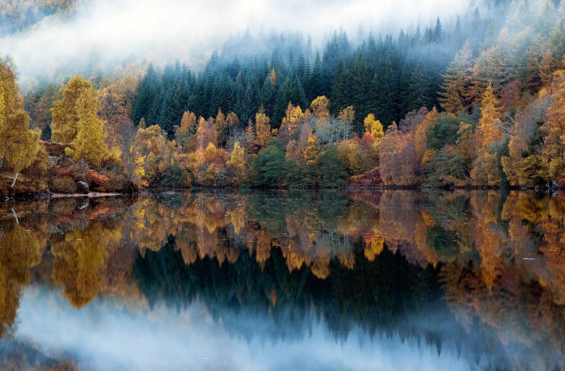 Natural fall. Природа осень. Осень озеро. Отражение природы в воде. Осенний лес.