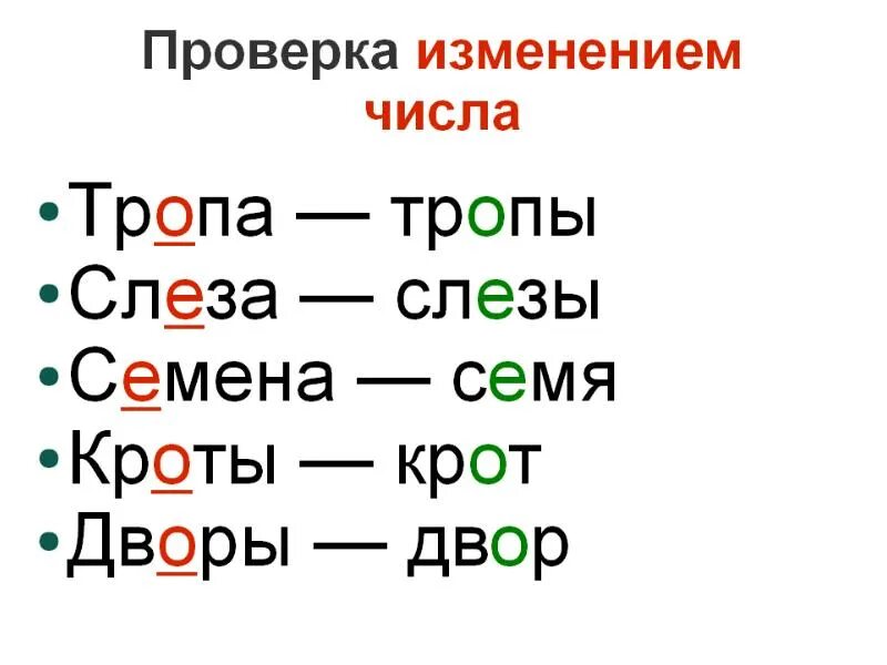 Урок 1. проверяемые безударные гласные в корне слова. 1 Класс слова с безударными гласными в корне проверяемые ударением. Написание слов с безударной гласной. Слова с безударной гласной в корне. Слова с проверяемой безударной гласной примеры