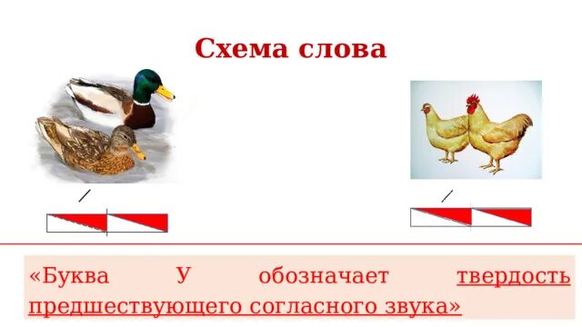 Слова указывающие на мягкость предшествующего согласного звука. Твердость предшествующего согласного. Буквы указывающие на твердость предшествующего согласного. Мягкость предшествующего согласного звука. Буква э обозначает твердость предшествующего согласного.