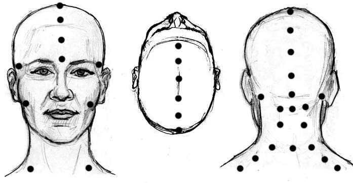 Точки на затылке. Точки постановки пиявок на голове. Шиацу точечный массаж точки. Точечный массаж головы. Точки массажа на шее и голове.