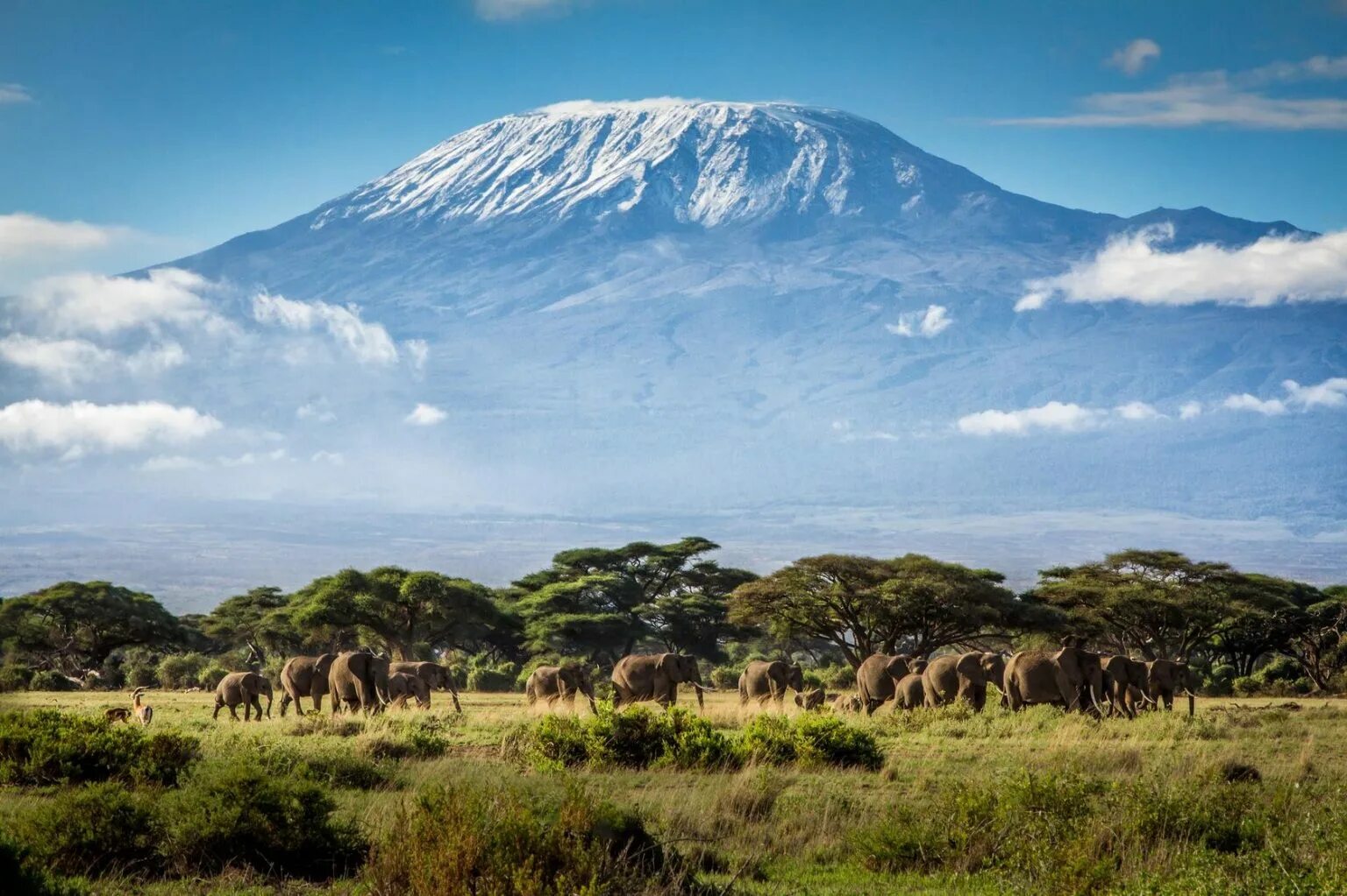 Африка самый высокий. Килиманджаро Танзания. Национальный парк горы Килиманджаро. Танзания гора Килиманджаро. Гора Килиманджаро в Танзании, Африка.