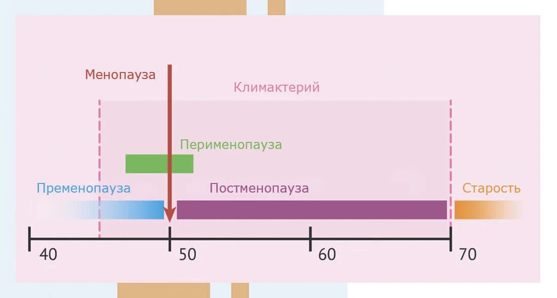 Фазы климактерического периода у женщин. Фазы климактерического периода.