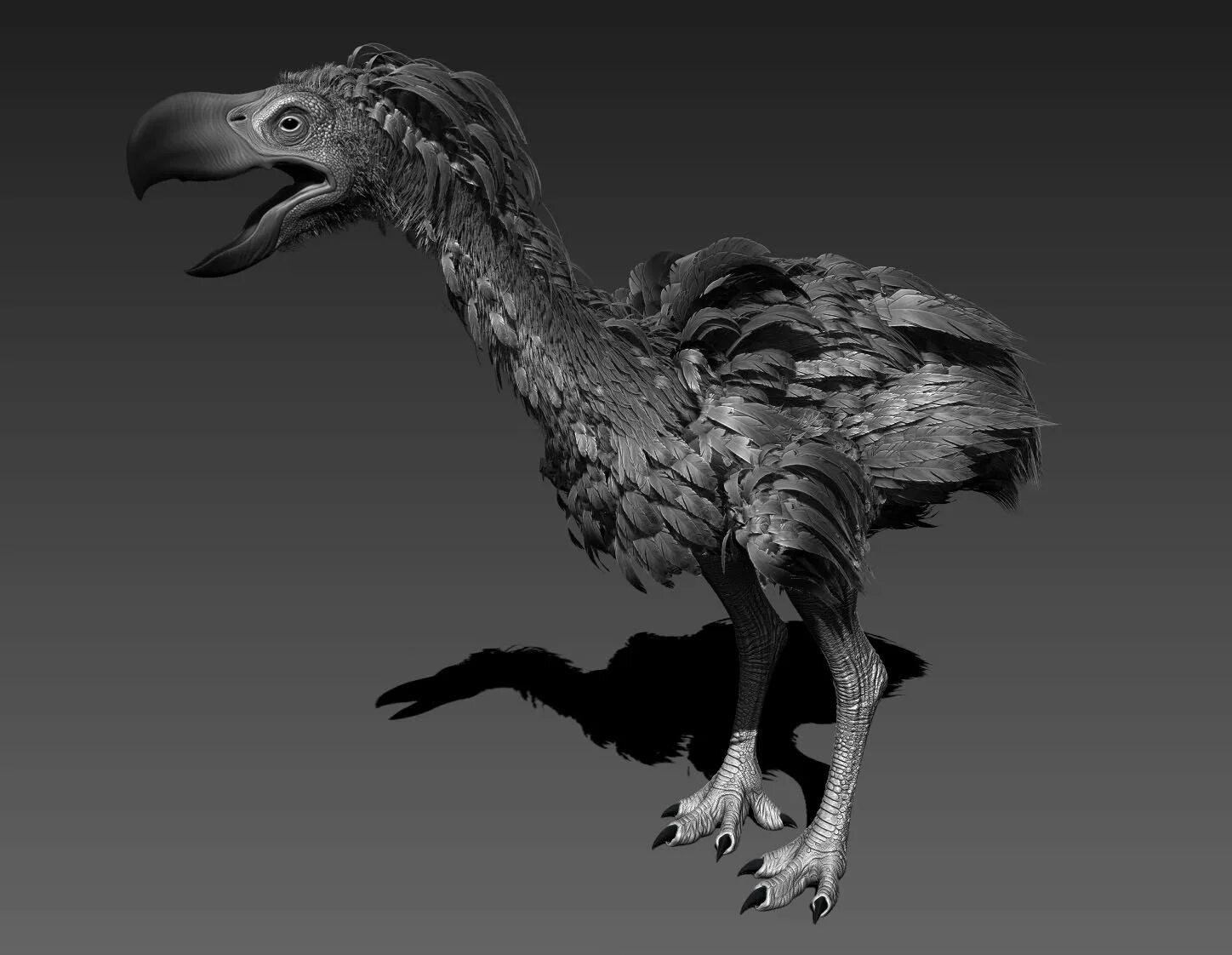 Титанис гасторнис. Титанис уоллера. Титанис. Титанис валери. Титанис уоллера птица.