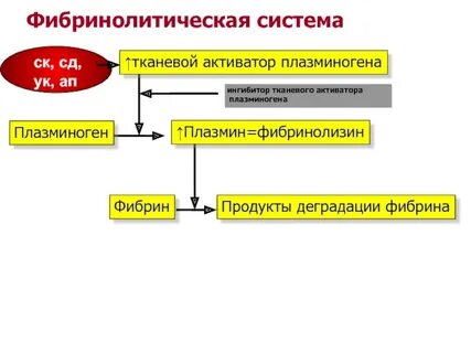 Активаторы плазминогена