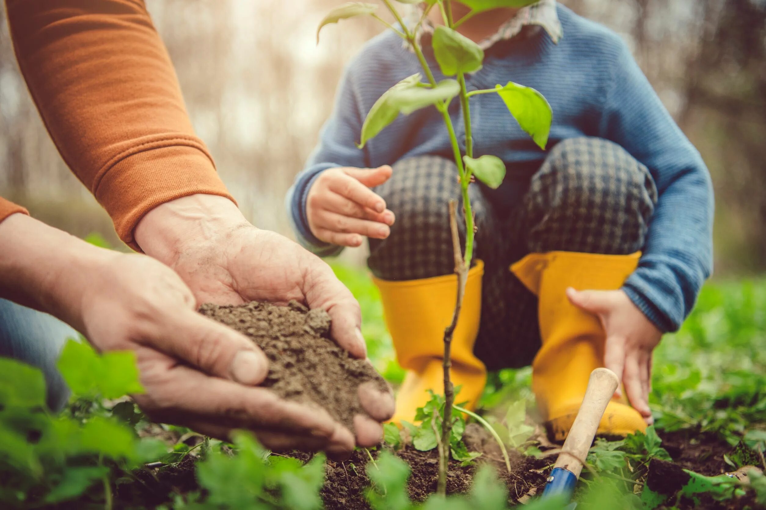 Be kind nature. Сажать деревья. Высадка деревьев. Высаживание деревьев. Посадка деревьев и кустарников.