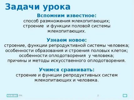 Репродуктивная система человека функции