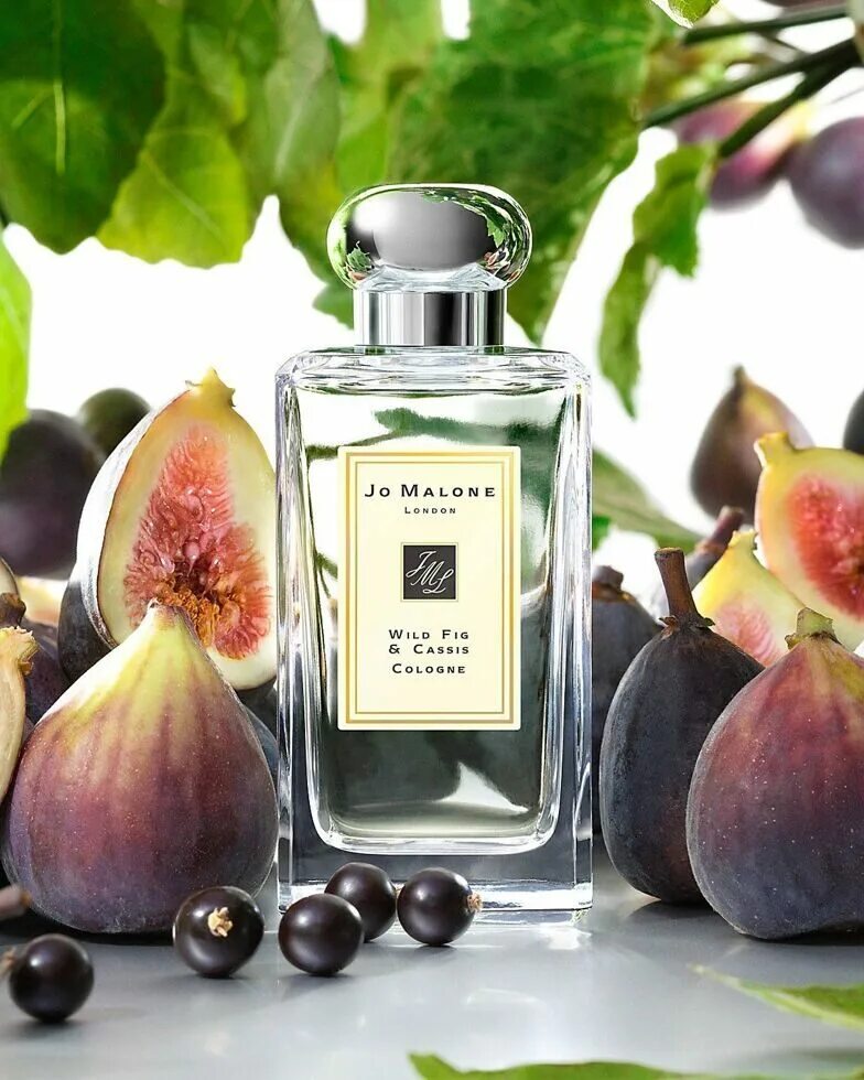 Какие духи на лето. Джо Малон духи. Jo Malone Fig and Cassis Wild духи. Духи Джо Малон с инжиром. Джо Малон Парфюм унисекс.