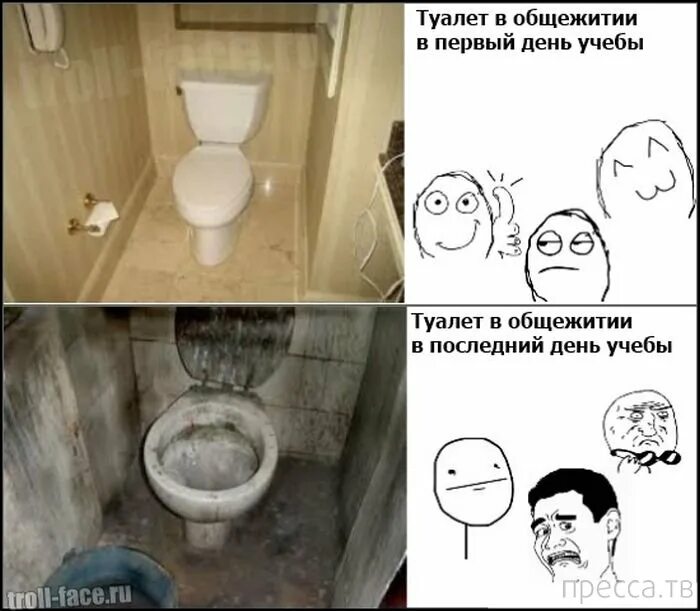 Где тут туалет. Смешные мемы про туалет. мемы комиксы про туалет. мемы про туалет в школе. смешные мемы с унитазом.