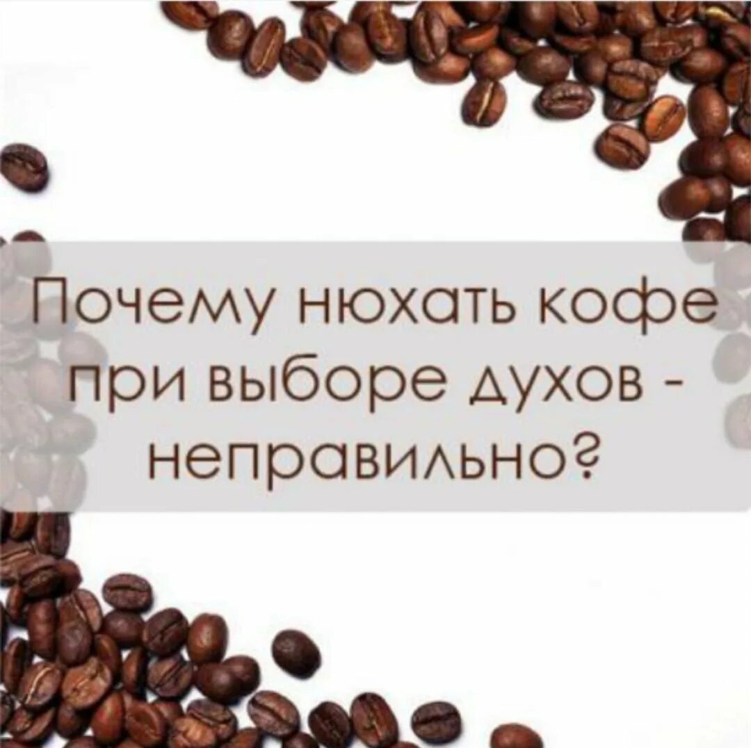 Почему кофе пахнет. Нюхает кофе. Зерна кофе в парфюмерном магазине. Зерновой кофе реклама. Кофе для духов.
