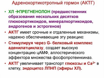 16 гормонов