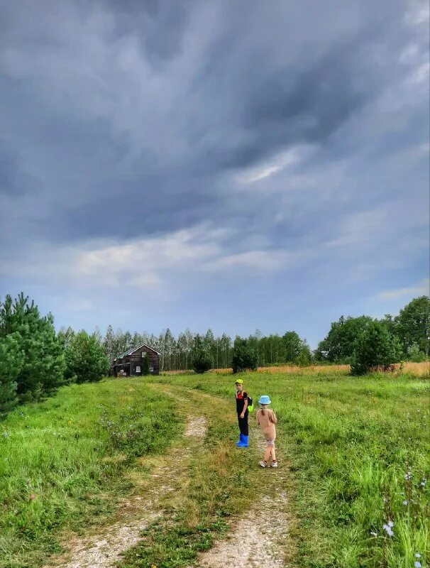 ах поля мои борозды. поле пшеницы. ах поля мои борозды. есенин ах поля мои борозды милые хороши. образы руси в русской лирике.