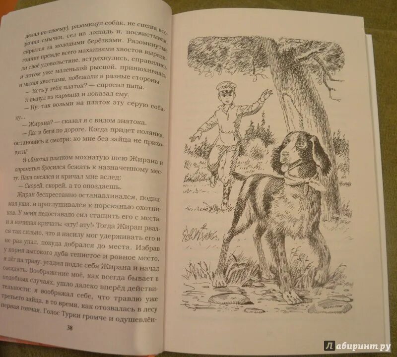 Повесть отрочество главы. Детство отрочество Юность толстой иллюстрации. Юность Лев толстой иллюстрации к книге. Иллюстрации к трилогии Толстого детство отрочество Юность. Книжка детство толстой.