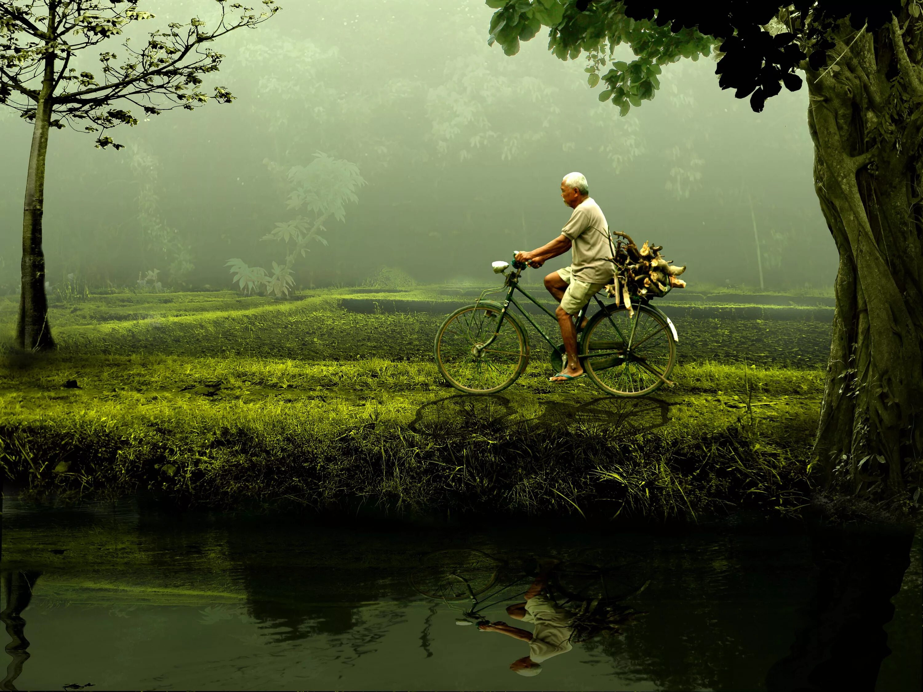 Ее считают природой человека. Человек и природа. Велосипед на природе. Человеческая природа. Изображение людей на природе.