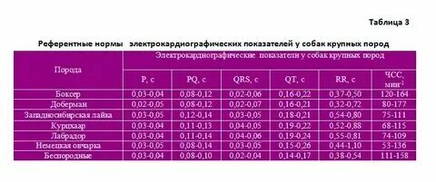 Сколько ударов в минуту у кошки. Сколько ударов в минуту у кошки