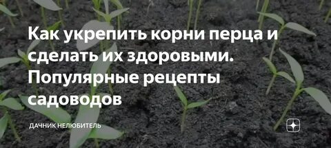 Укрепить корень