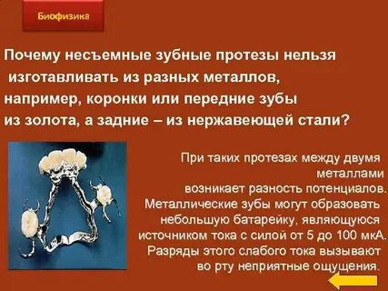 Биофизика это