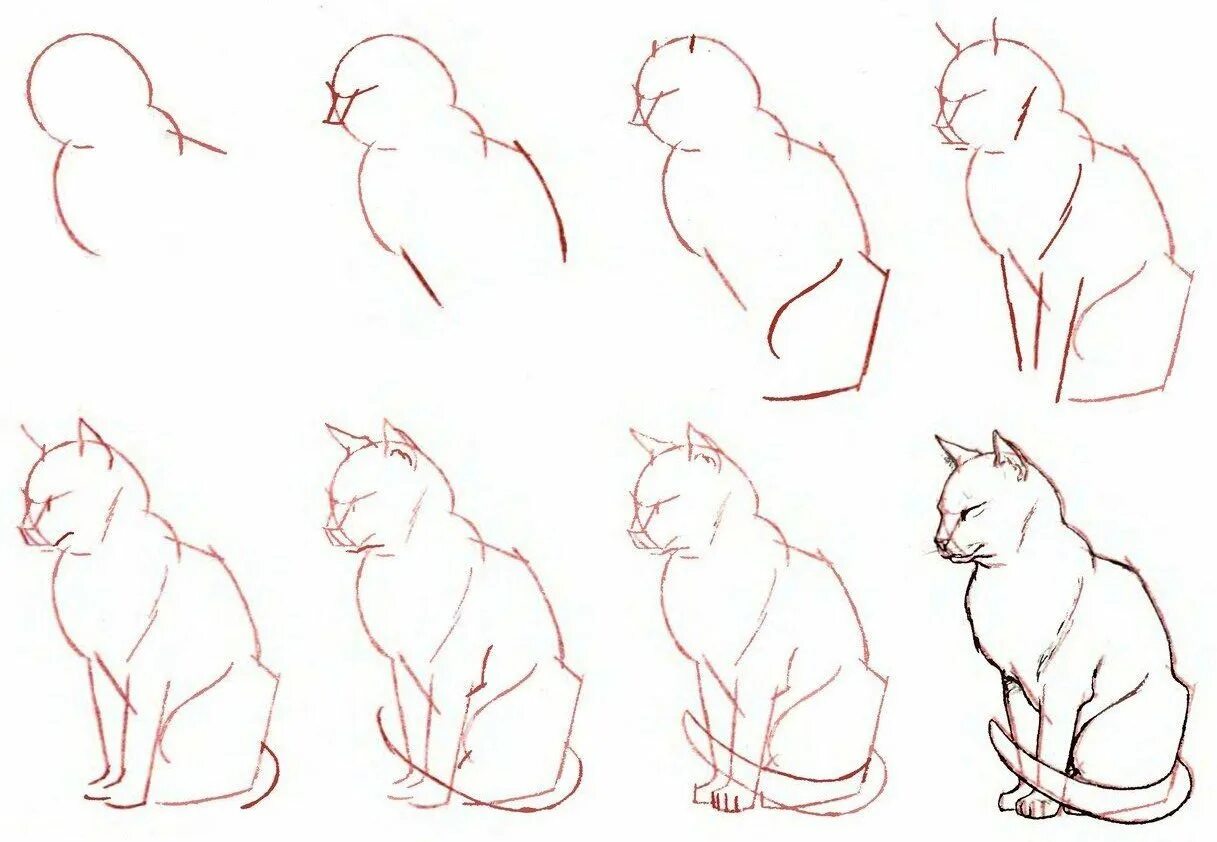 Как начать рисовать. Поэтапное рисование карандашом. Поэтапный рисунок кошки. Поэтапное рисование кошки. Поэтапное рисование кошки карандашом.