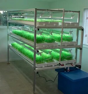 Гидропонная установка для микрозелени
