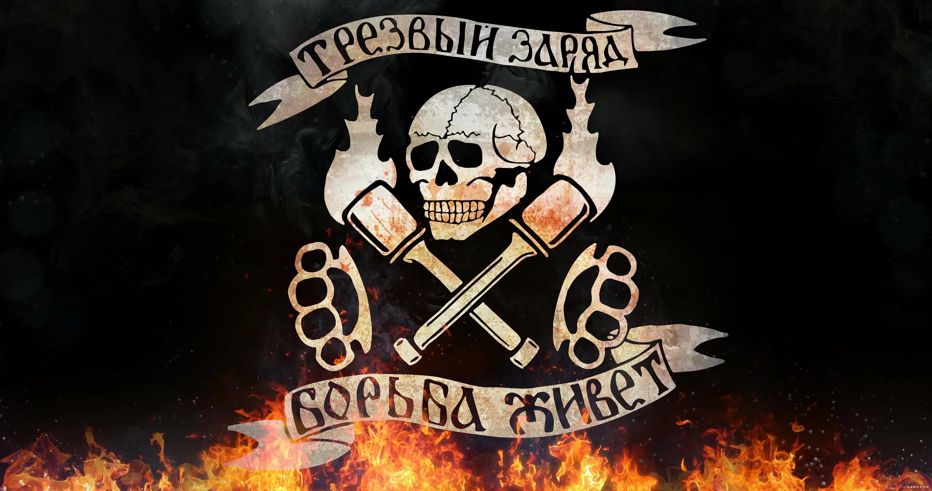 трезвый заряд тексты. трезвый заряд концерт. трезвый заряд тексты. трезвый заряд дистопия. факел дерзости трезвый заряд.