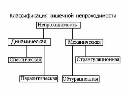 Классификация кишечной