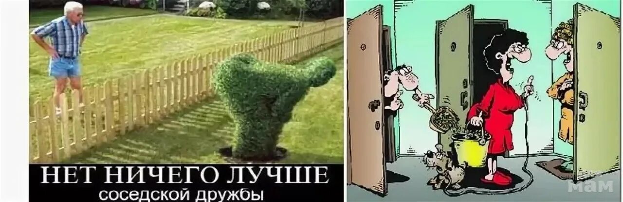 Жили были 2 соседа. Соседи по даче карикатура. Соседская Дружба прикол. Классные соседи. Соседи картинки прикольные.