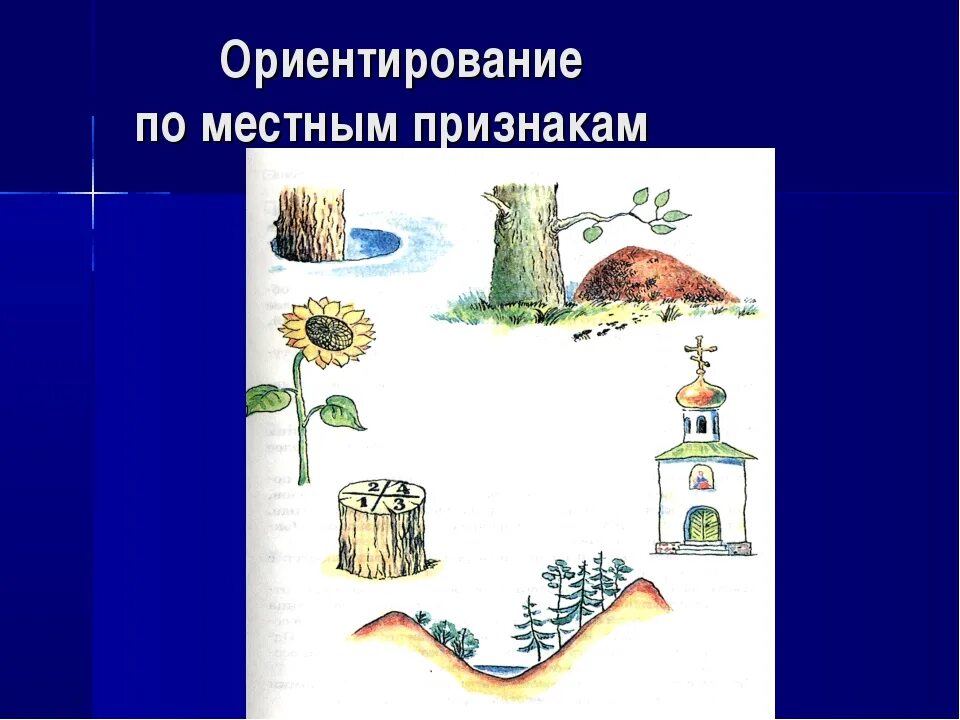 Природные признаки сторон горизонта рисунки 2 класс