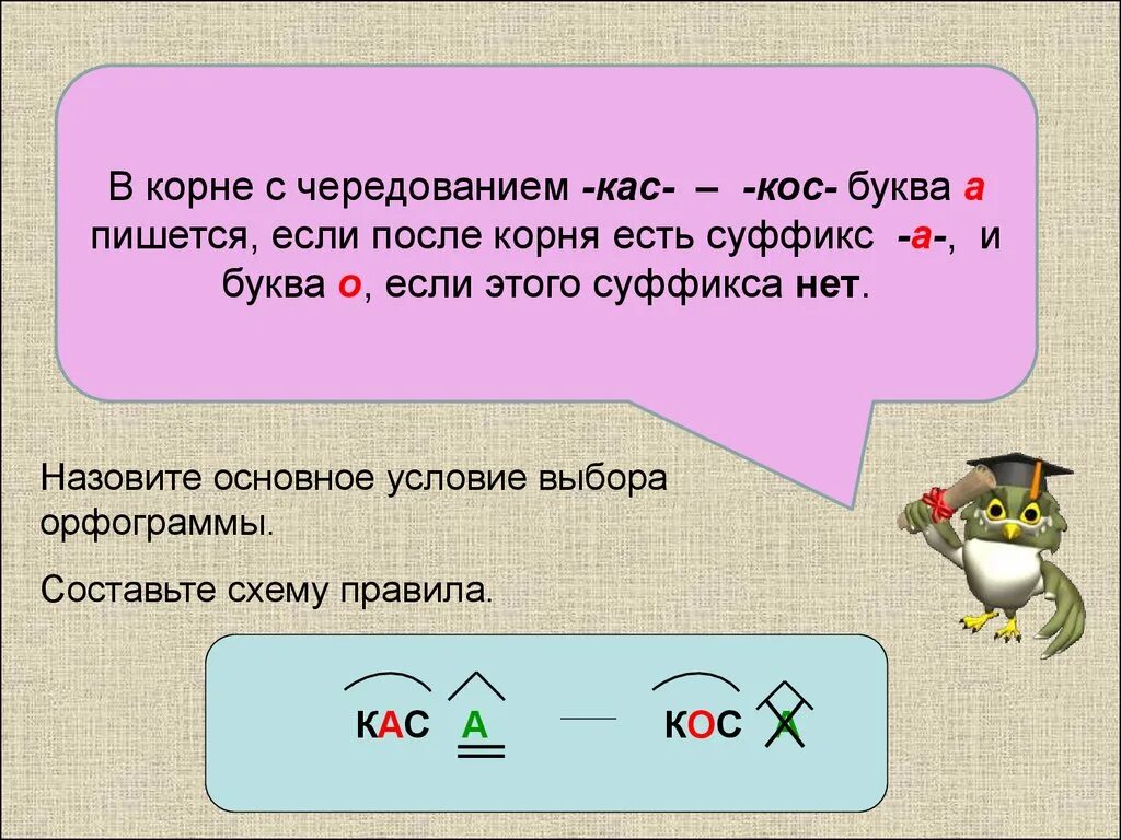 Корневые буквы. Буквы а и о в корне КАС кос. Корни с чередованием как кос.