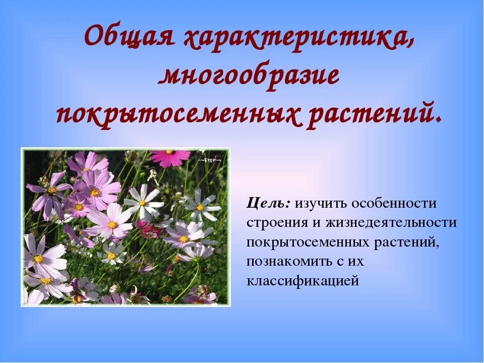 Покрытосеменные цветковые растения. Характеристика покрытосеменных растений многообразие. Особенности строения покрытосеменных. Многообразие пократосеменныхрастений.