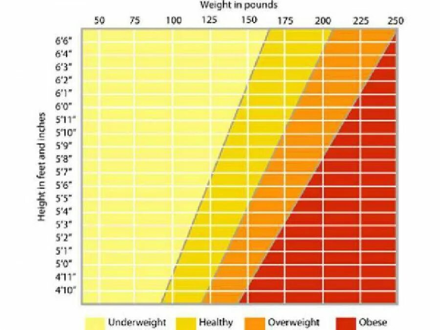 Вес при росте 190 у мужчин. Нормальный вес. Норма веса по росту. Вес в норме у женщин по возрасту таблица. Нормальный диапазон веса для женщины.